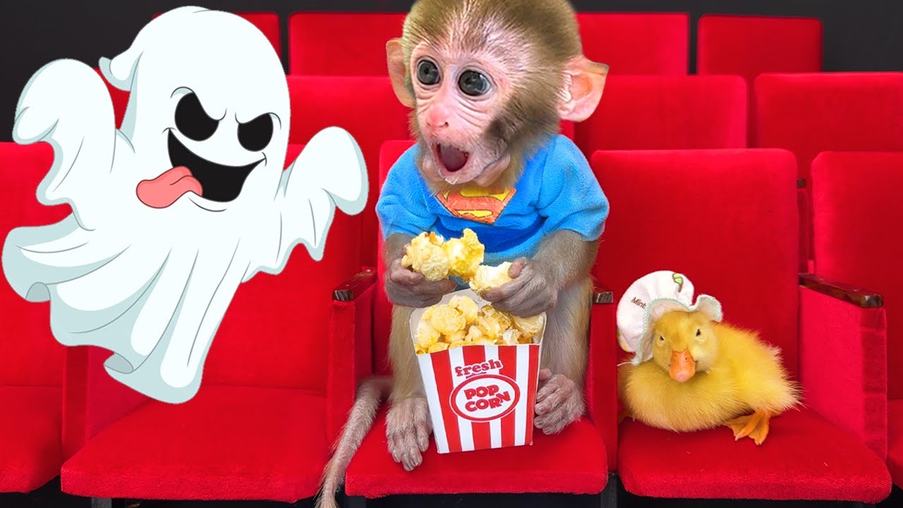 Monkey Baby Bon Bon goes to the movies with the duckling and swims with puppy in swimming pool img